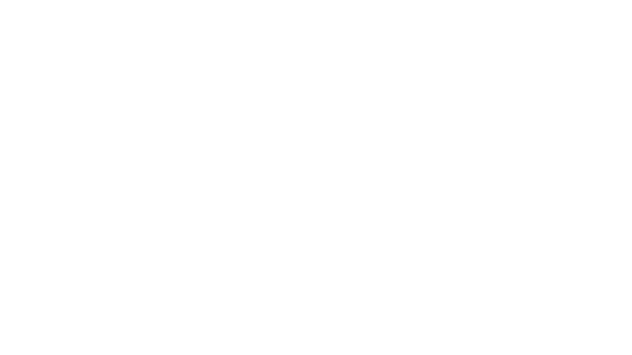 IPOINT Logo White